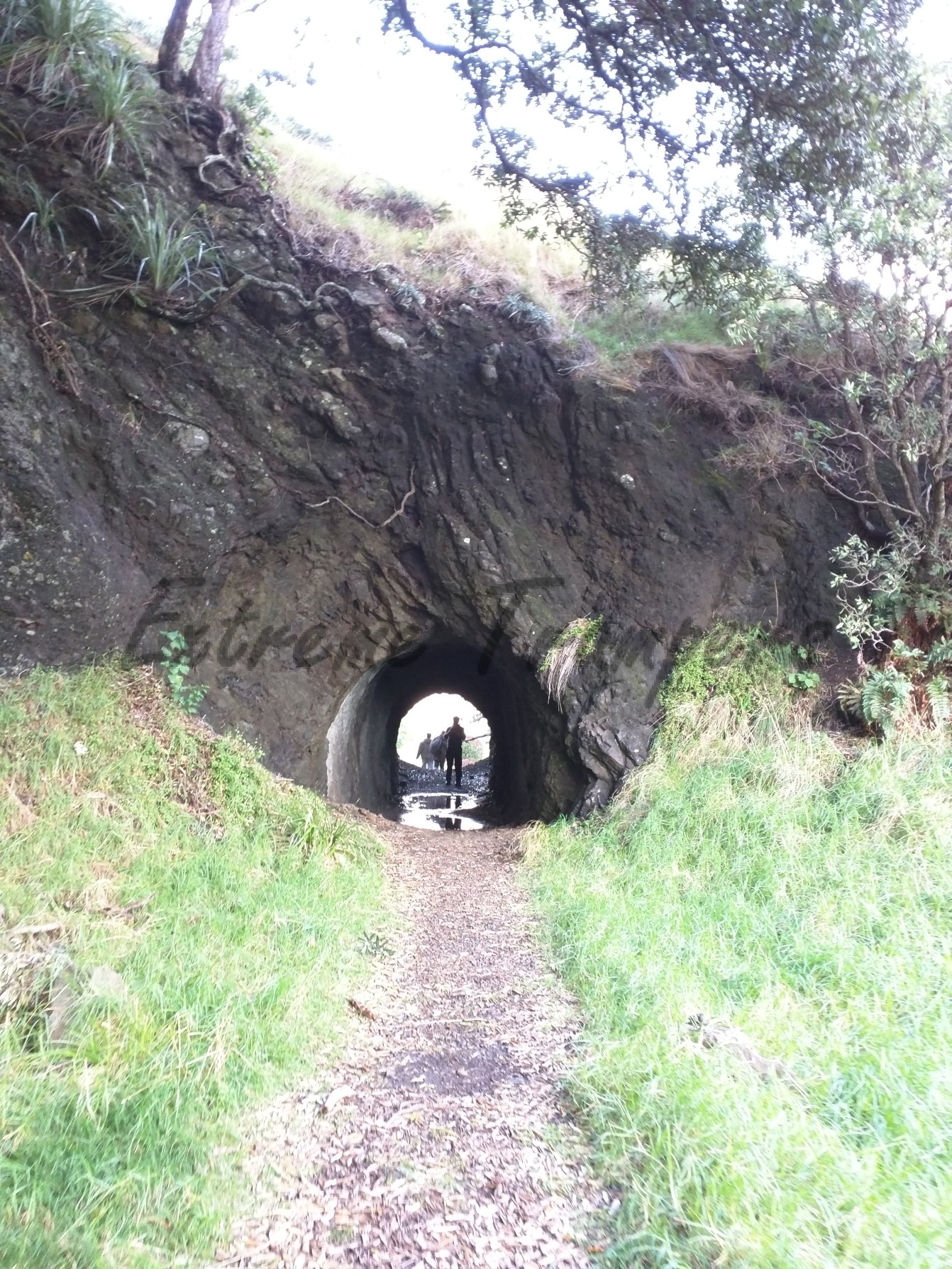 KareKare_Beach_Pararaha_Stream_Tramp_005