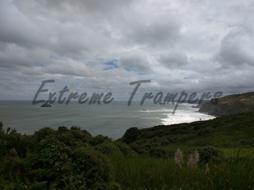 North_Bethells_Beach_Tramp_003