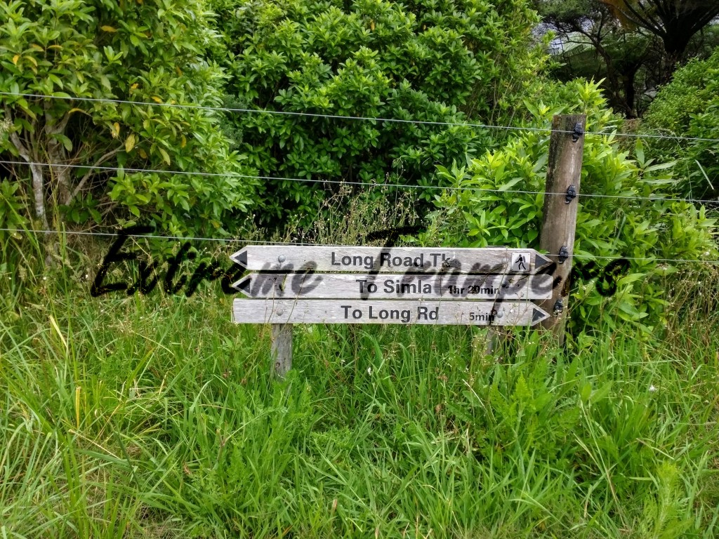 lake_wainamu_bethells_beach_loop_tramp_002