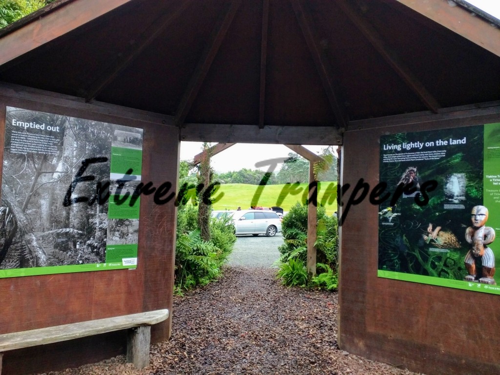 lake_wainamu_bethells_beach_loop_tramp_008