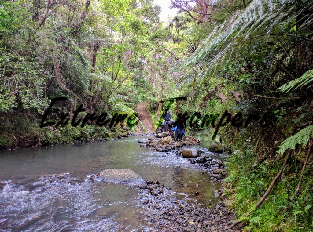 crossing-the-stream